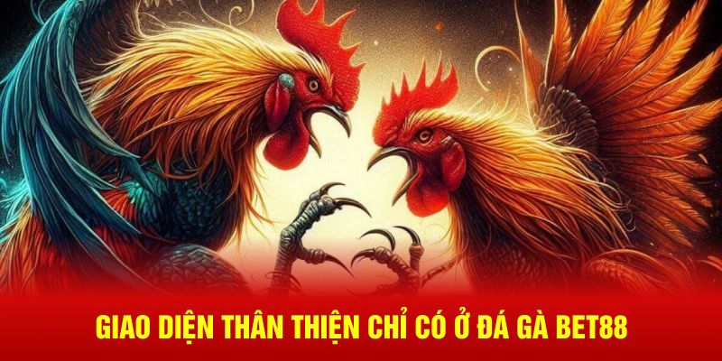 Giao diện thân thiện chỉ có ở đá gà BET88